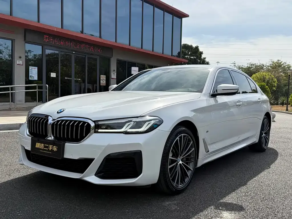 BMW 5 Series 2021 из CN, фото 1
