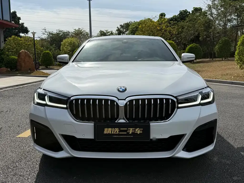 BMW 5 Series 2021 из CN, фото 2