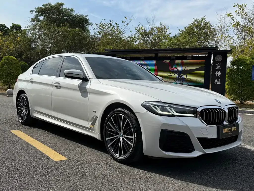 BMW 5 Series 2021 из CN, фото 3