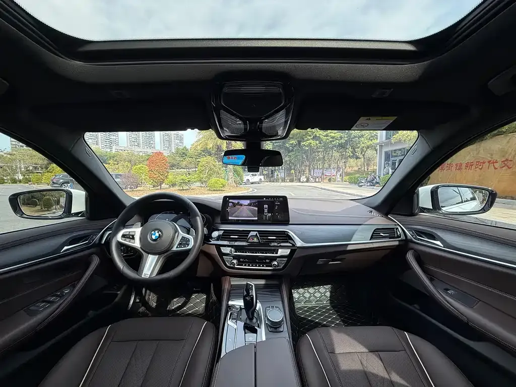 BMW 5 Series 2021 из CN, фото 4