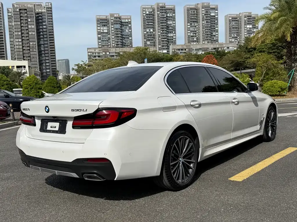 BMW 5 Series 2021 из CN, фото 7