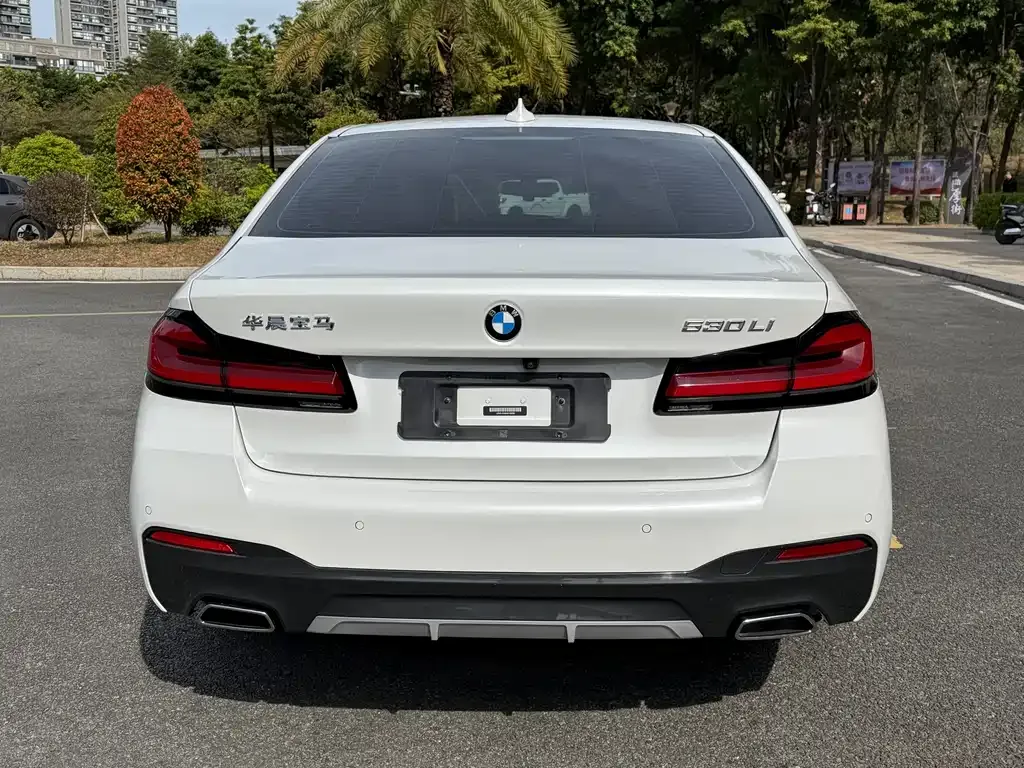 BMW 5 Series 2021 из CN, фото 8