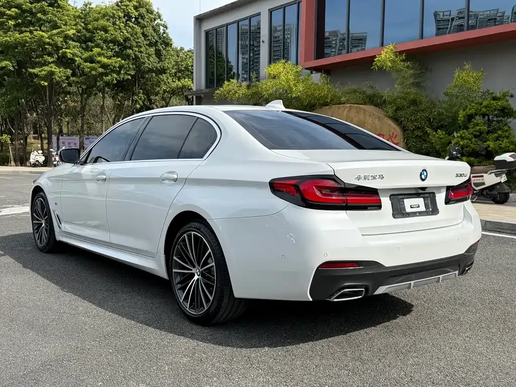 BMW 5 Series 2021 из CN, фото 9