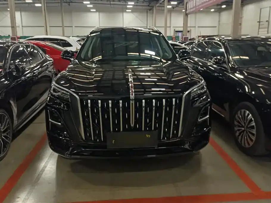 Hongqi HS5 2023 из CN, фото 2
