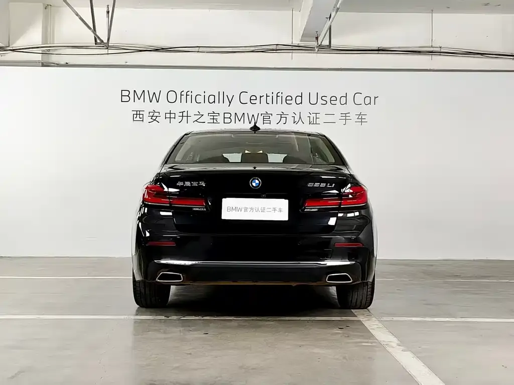 BMW 5 Series 2024 из CN, фото 5