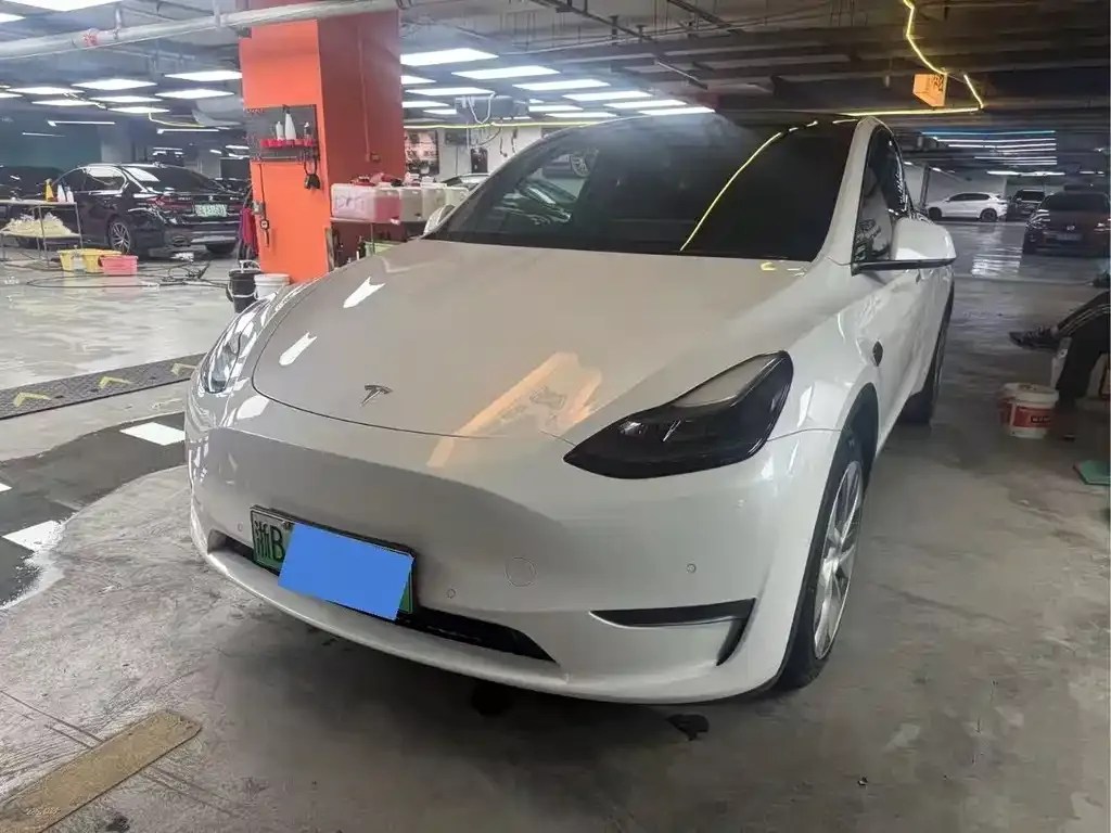 Tesla Model Y 2021 из CN, фото 1