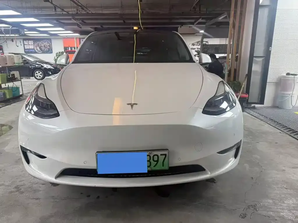 Tesla Model Y 2021 из CN, фото 2