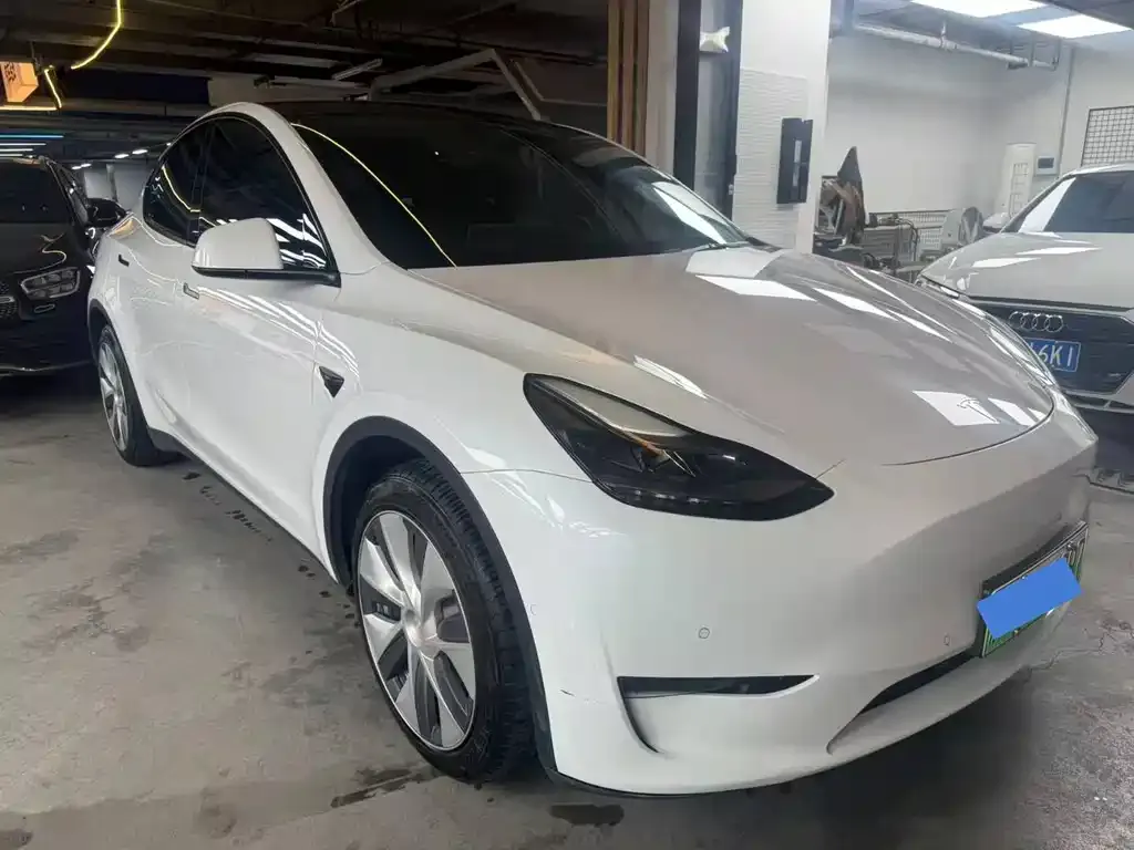 Tesla Model Y 2021 из CN, фото 3