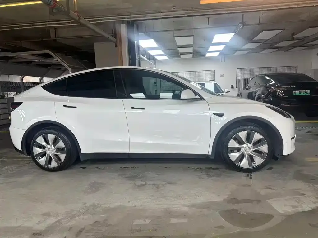 Tesla Model Y 2021 из CN, фото 4