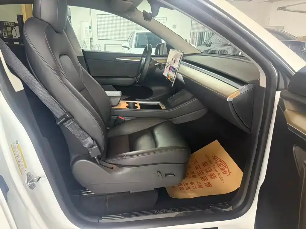 Tesla Model Y 2021 из CN, фото 5