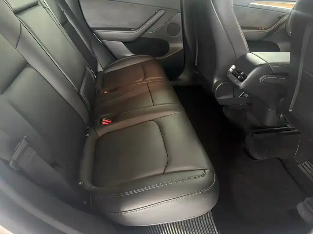 Tesla Model Y 2021 из CN, фото 6