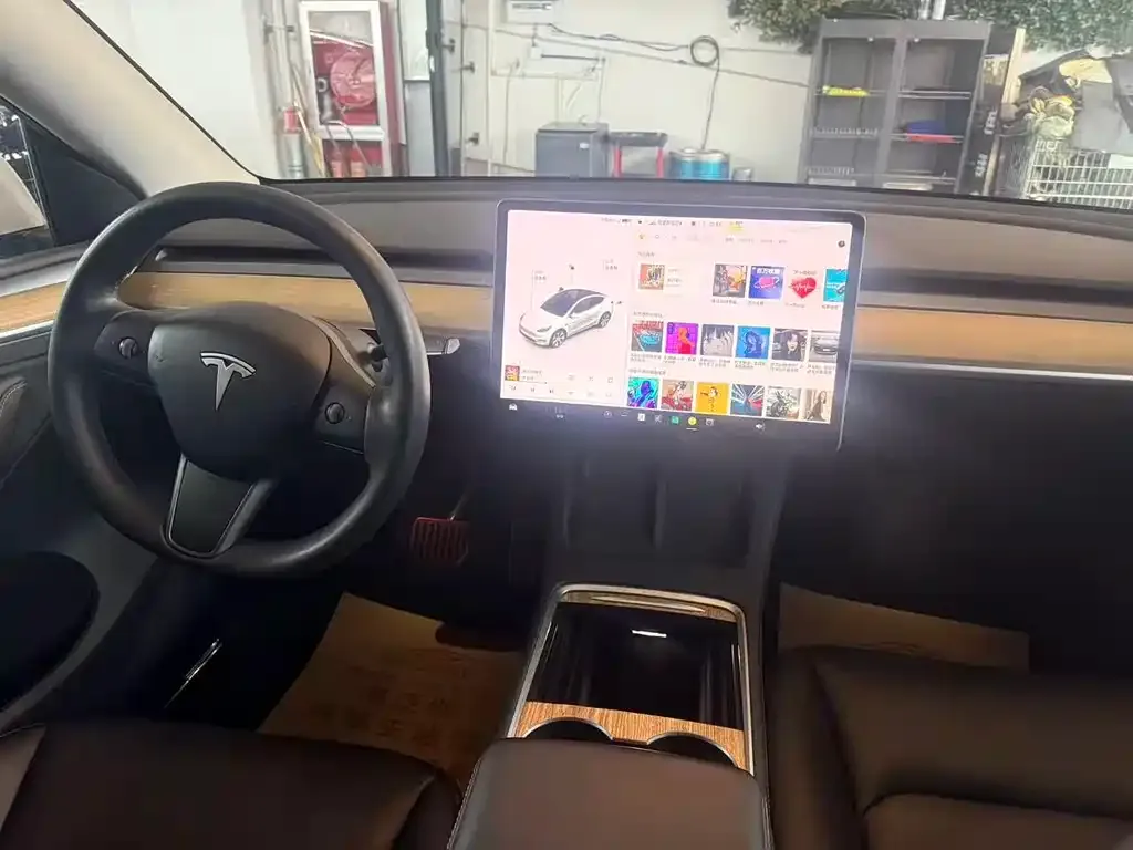 Tesla Model Y 2021 из CN, фото 8