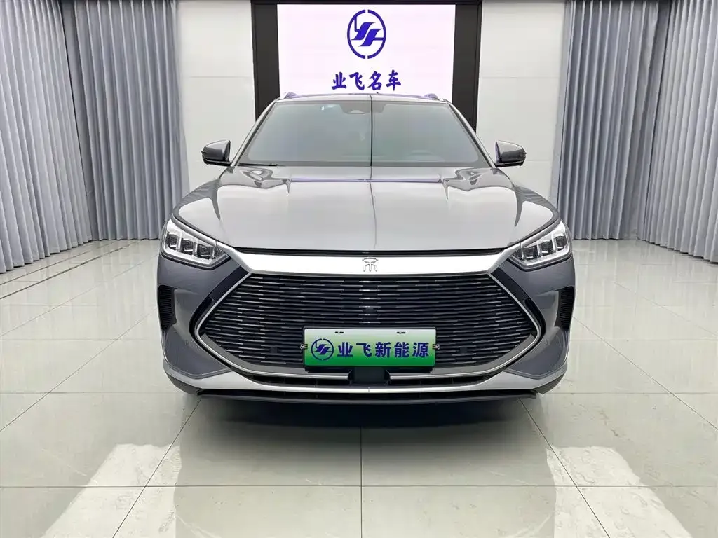 BYD PLUS New Energy 2023 из CN, фото 2