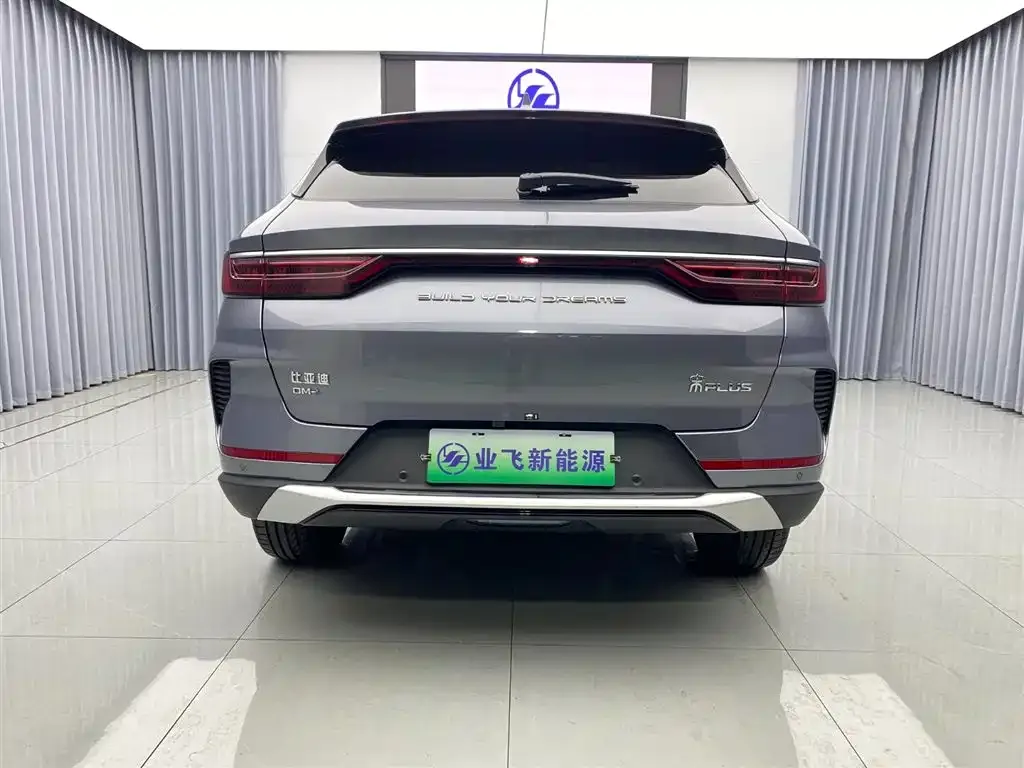 BYD PLUS New Energy 2023 из CN, фото 5
