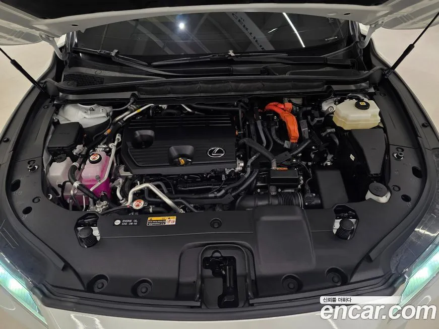 Lexus RX 2025 из KR, фото 6