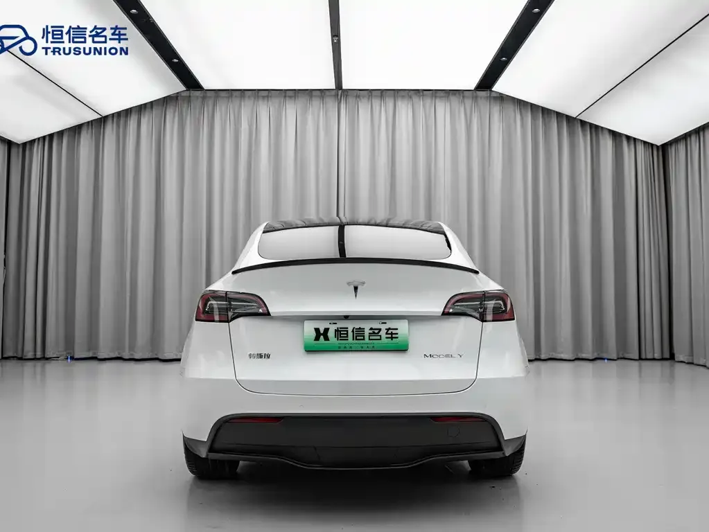 Tesla Model Y — фото 10