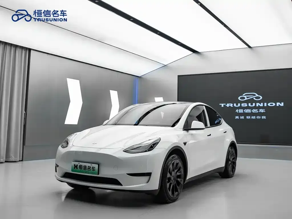 Tesla Model Y — фото 2