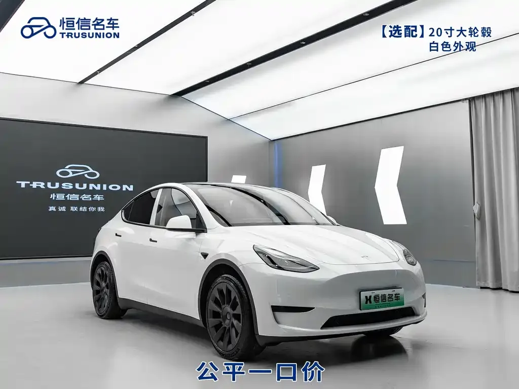Tesla Model Y — фото 4