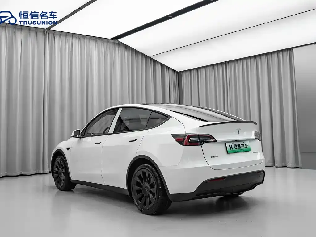 Tesla Model Y — фото 7