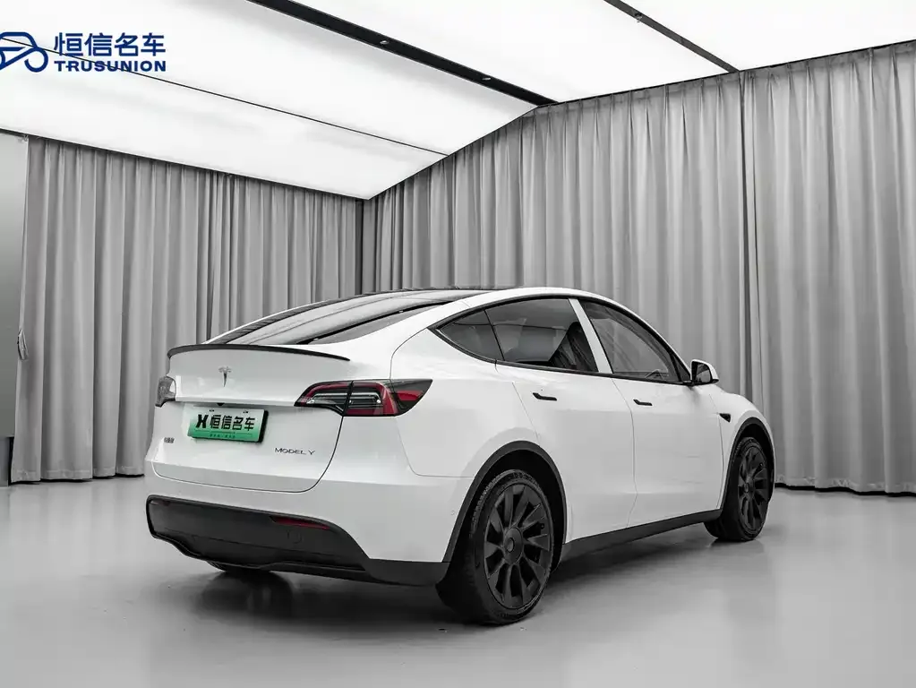Tesla Model Y — фото 9