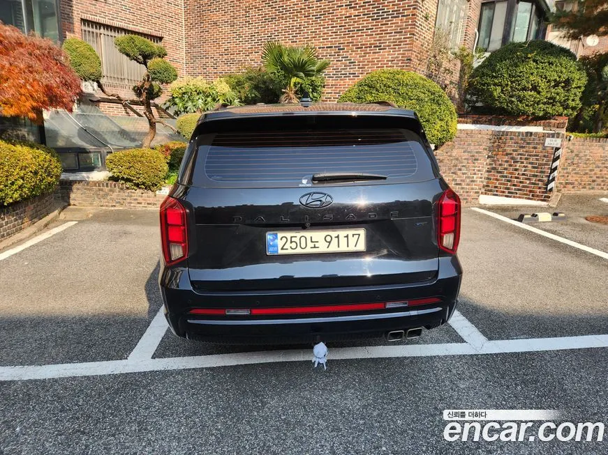 Hyundai Palisade 2024 из KR, фото 4