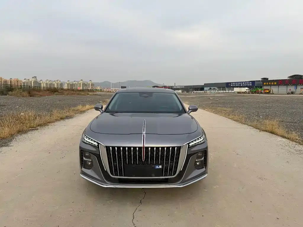 Hongqi H5 2023 из CN, фото 2