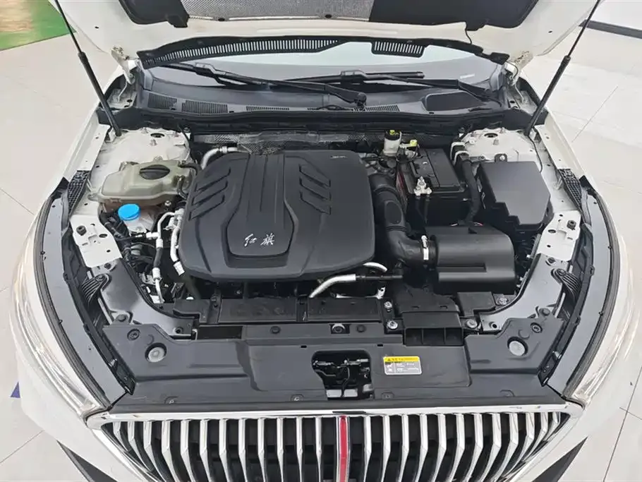 Hongqi H5 2021 из CN, фото 10
