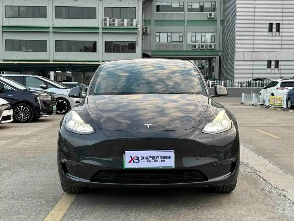 Tesla Model Y — фото 2