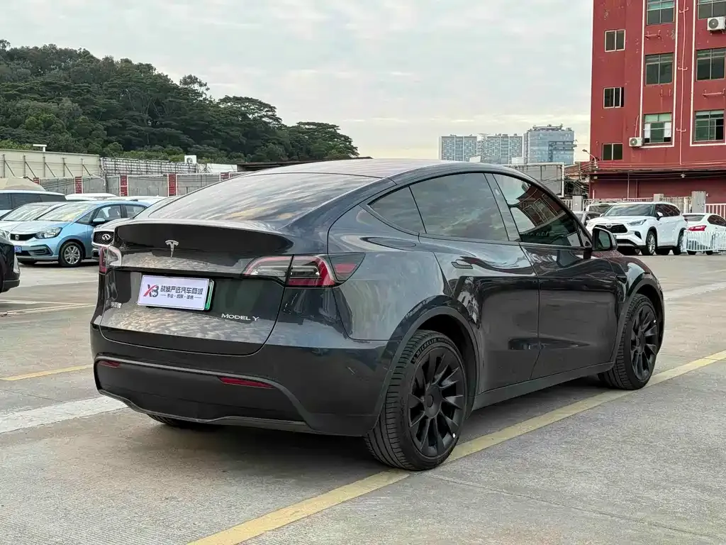 Tesla Model Y — фото 5