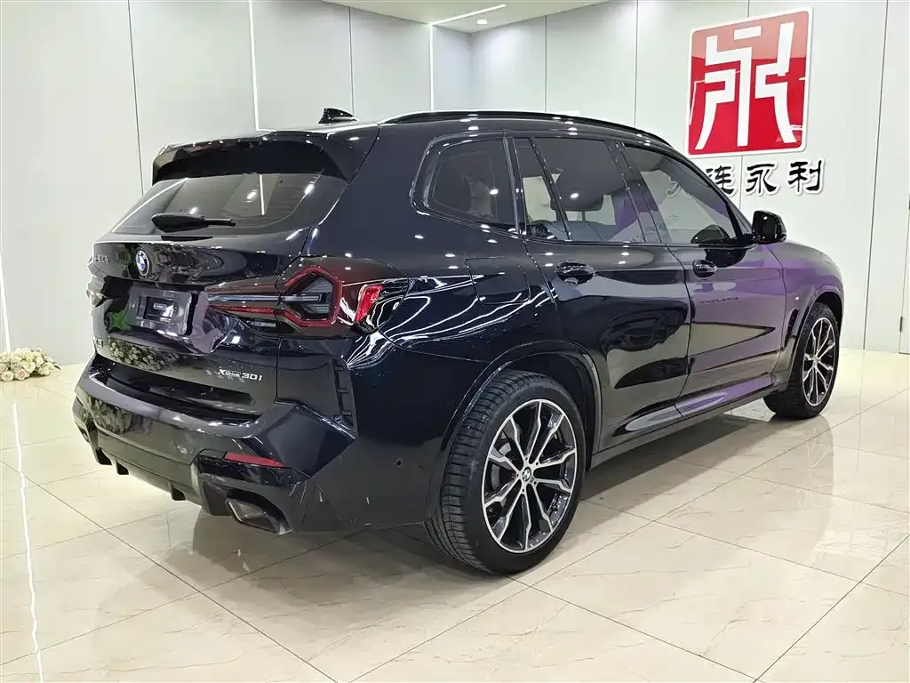 BMW X3 2024 из CN, фото 6
