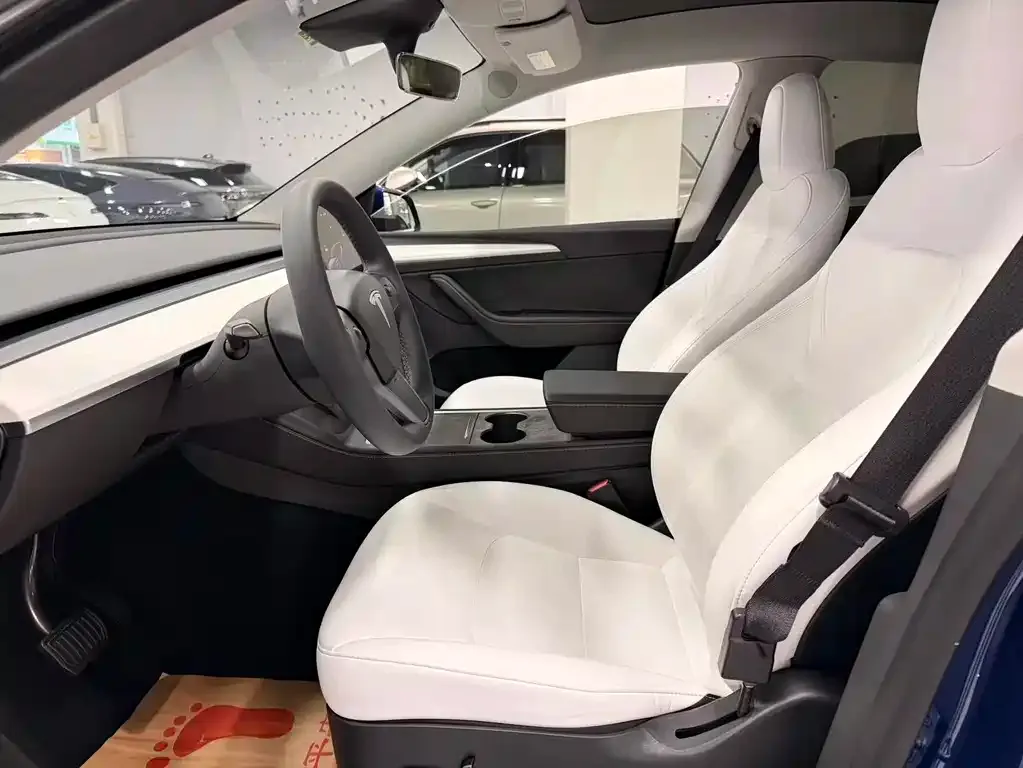 Tesla Model Y 2023 из CN, фото 4