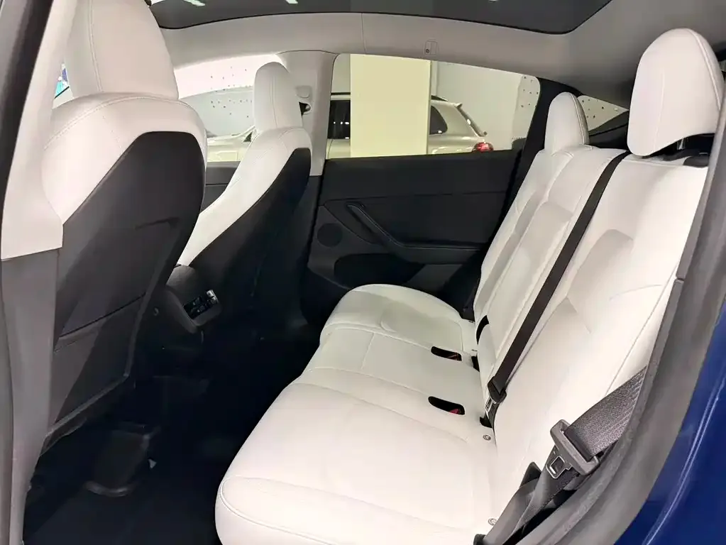 Tesla Model Y 2023 из CN, фото 6