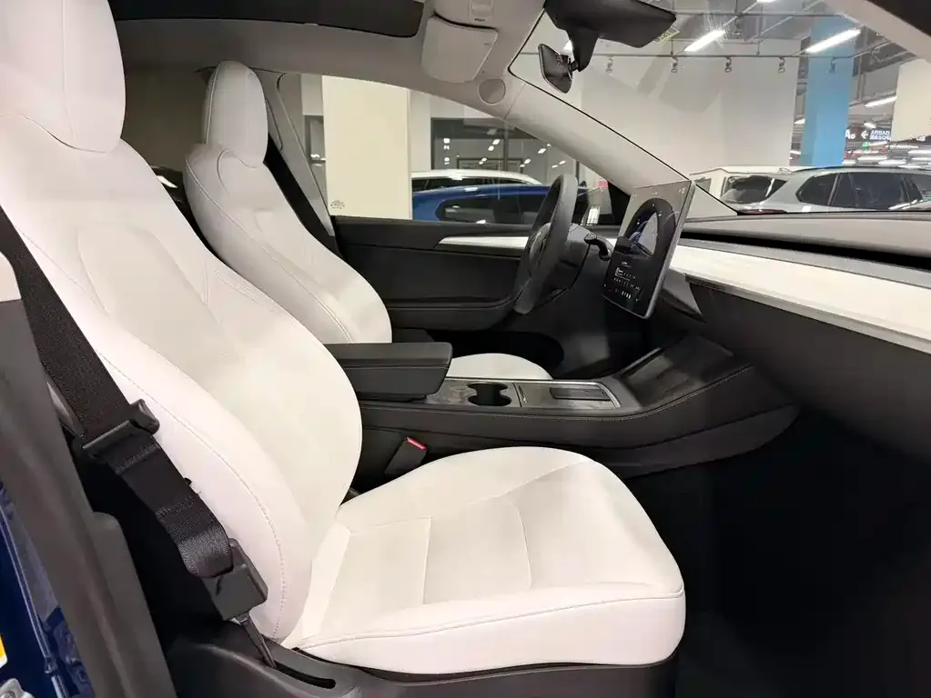 Tesla Model Y 2023 из CN, фото 8