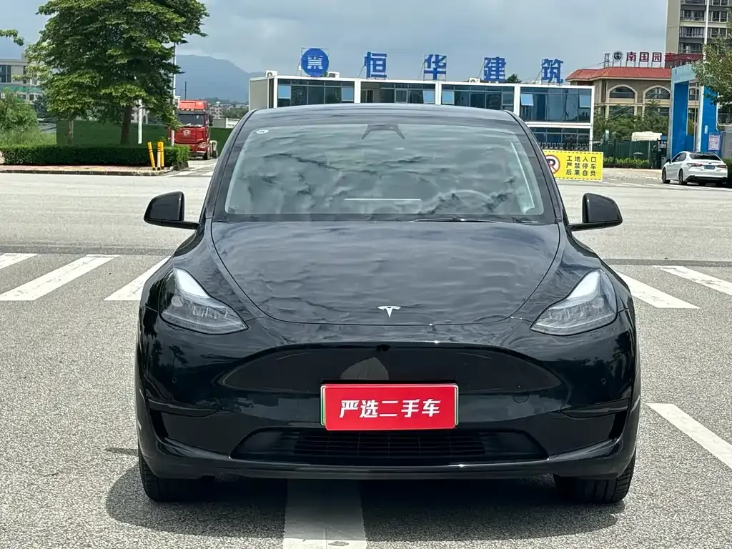 Tesla Model Y 2022 из CN, фото 2