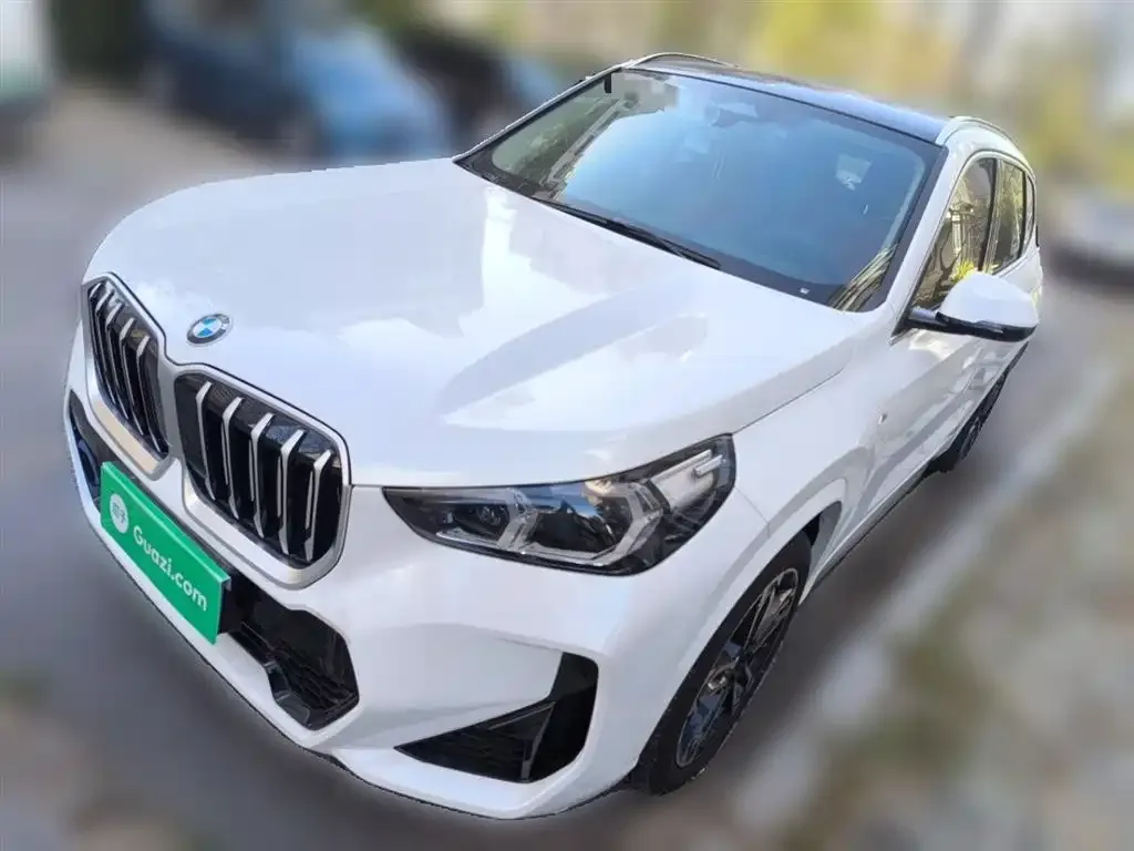 BMW X1 2024 из CN, фото 2