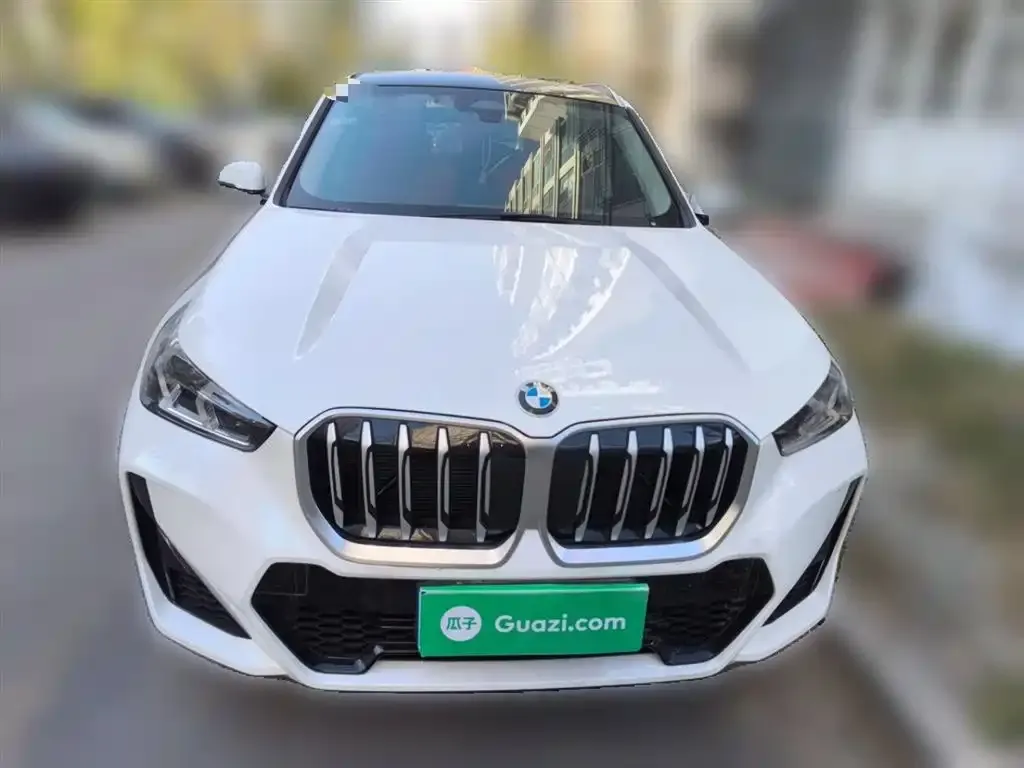 BMW X1 2024 из CN, фото 3