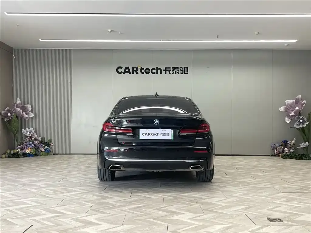 BMW 5 Series New Energy 2022 из CN, фото 6
