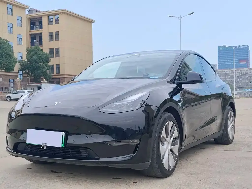 Tesla Model Y 2022 из CN, фото 1