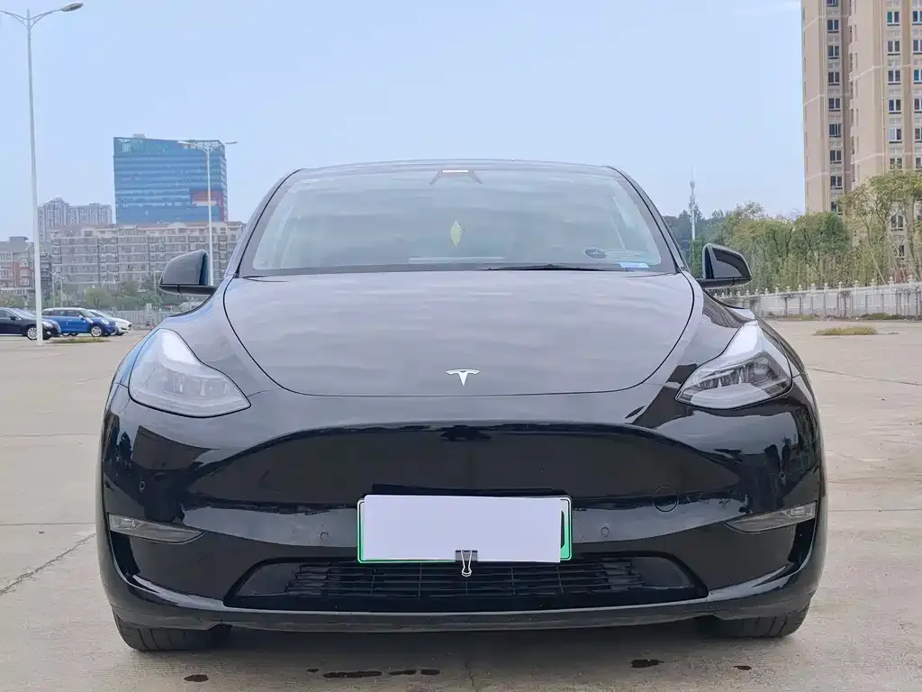 Tesla Model Y 2022 из CN, фото 2