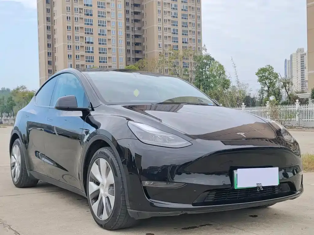 Tesla Model Y 2022 из CN, фото 3