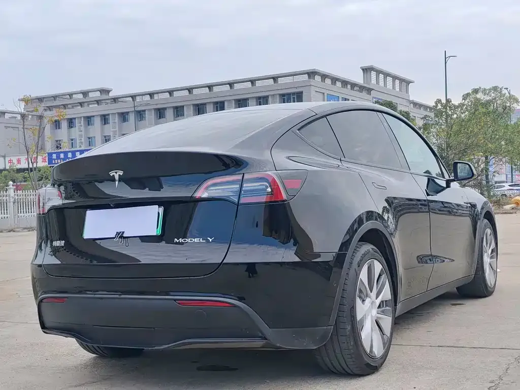 Tesla Model Y 2022 из CN, фото 4