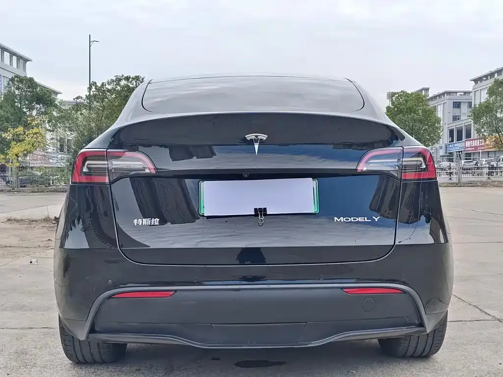 Tesla Model Y 2022 из CN, фото 5