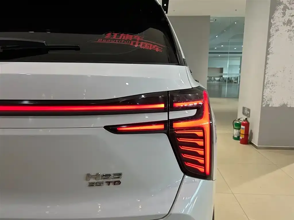 Hongqi HS3 2023 из CN, фото 10