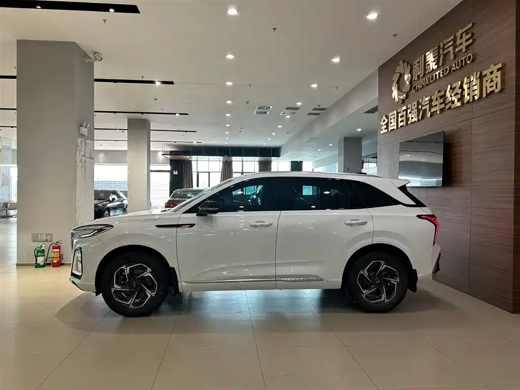 Hongqi HS3 2023 из CN, фото 8