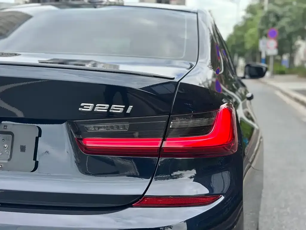BMW 3 Series 2021 из CN, фото 9