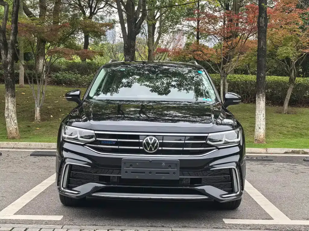 Volkswagen Tiguan L New Energy 2022 из CN, фото 2