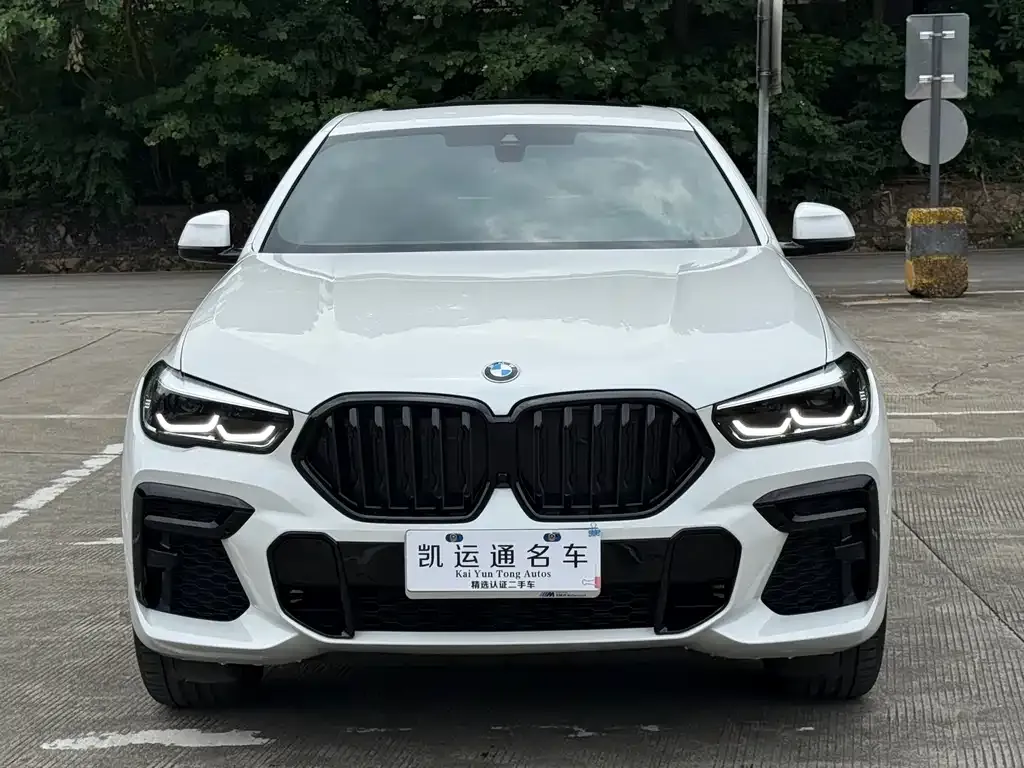 BMW X6 2023 из CN, фото 1