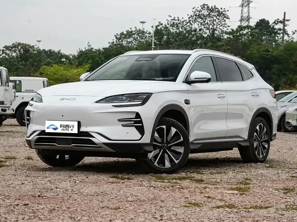 BYD PLUS New Energy 2025 из CN, фото 1