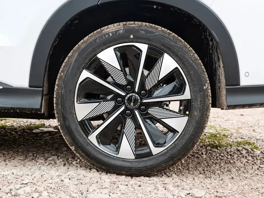 BYD PLUS New Energy 2025 из CN, фото 10