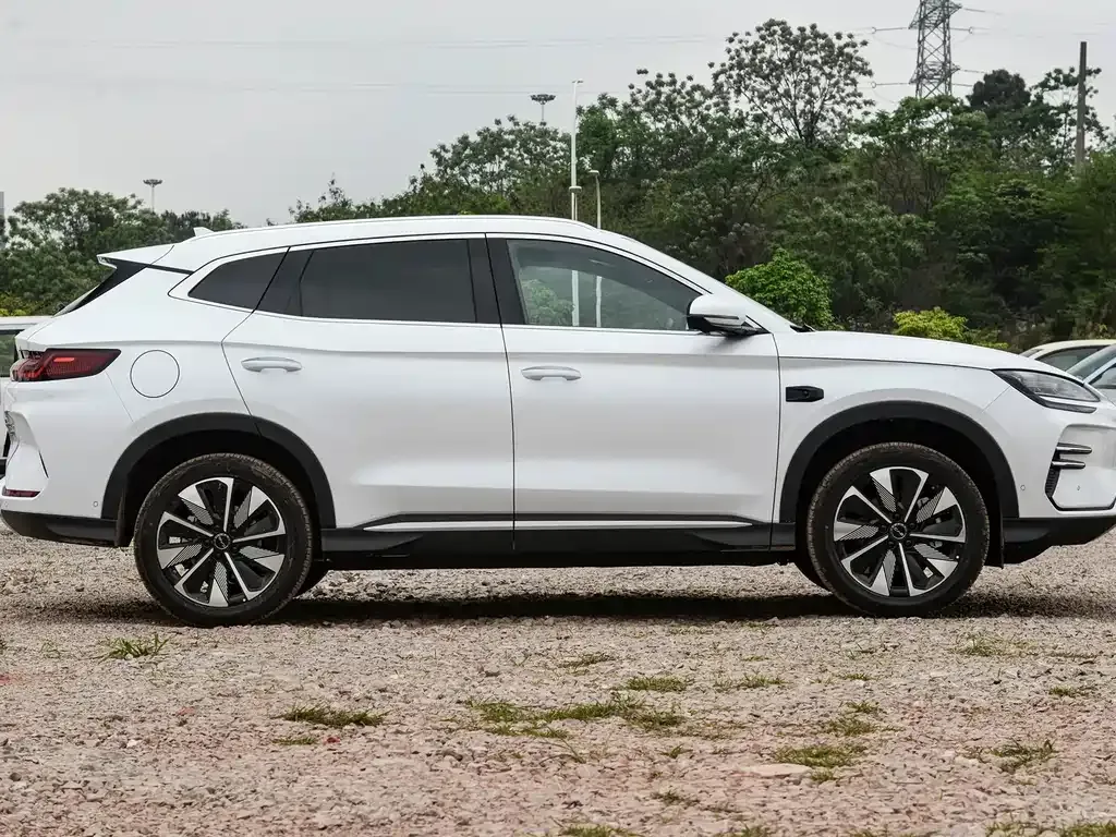 BYD PLUS New Energy 2025 из CN, фото 2